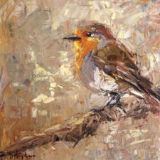 Robin painting by Denise Hopkins