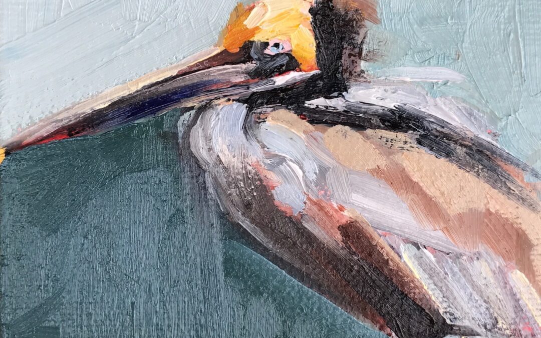 resting pelican painting