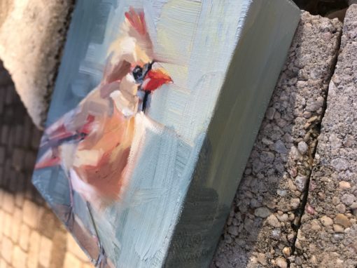 6x6 female cardinal oil painting