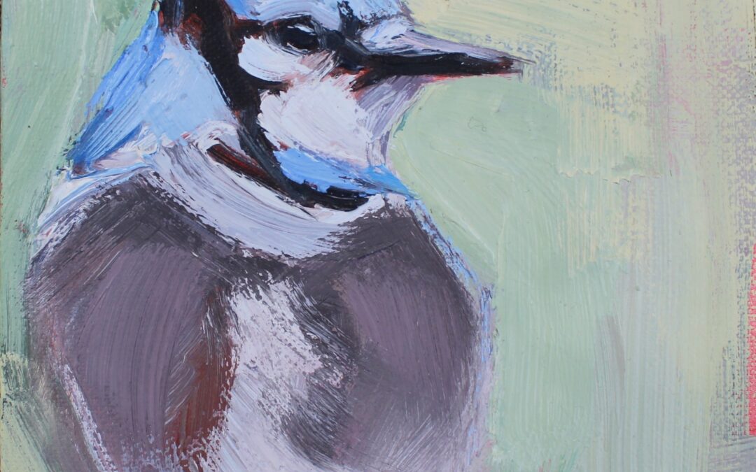 bluejay oil painting