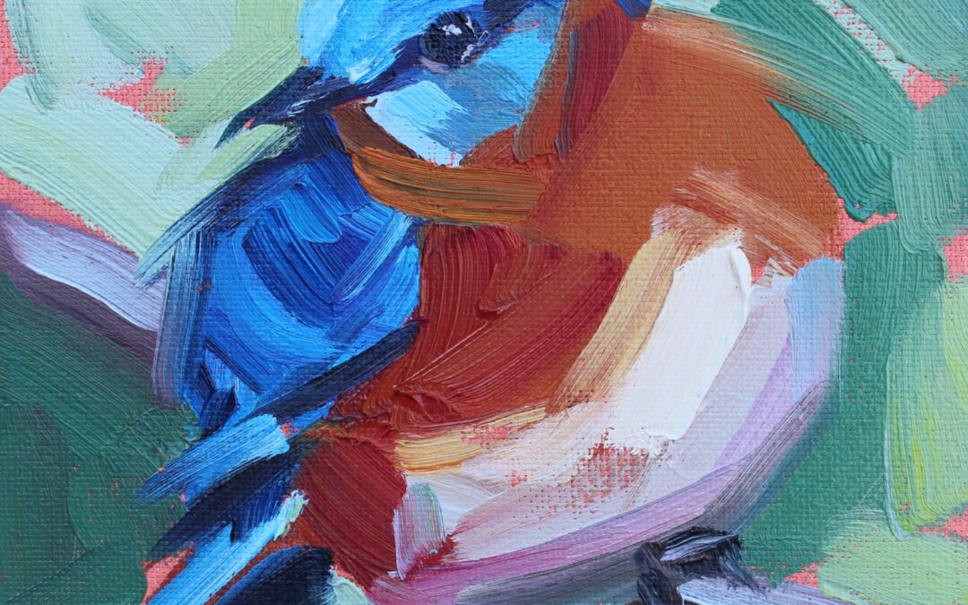 6×6 bluebird
