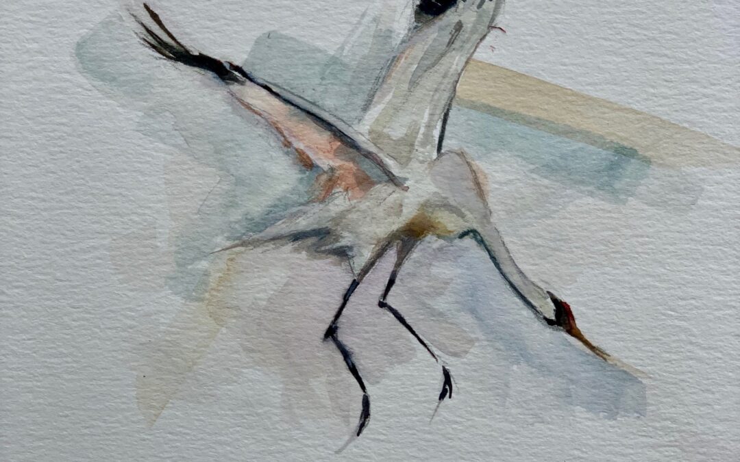 whooping crane painting