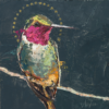 hummingbird art
